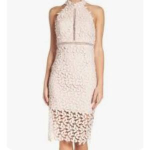 BARDOT Gemma Lace Halter Blush Midi Sheath Dress Size 8
